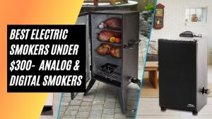 Best Electric Smokers Under $300